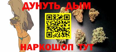 марихуана Кингисепп
