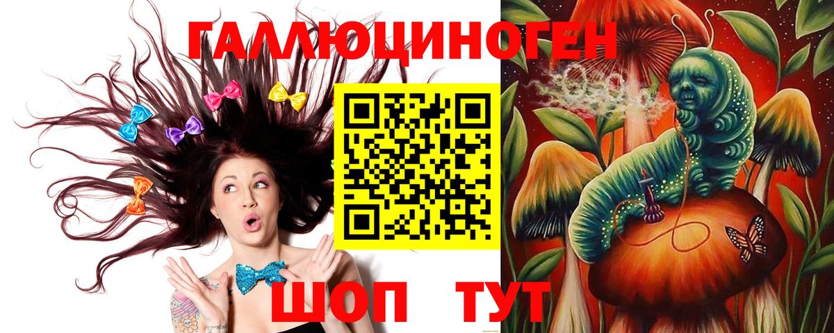 Галлюциногенные грибы Psilocybine cubensis Арзамас