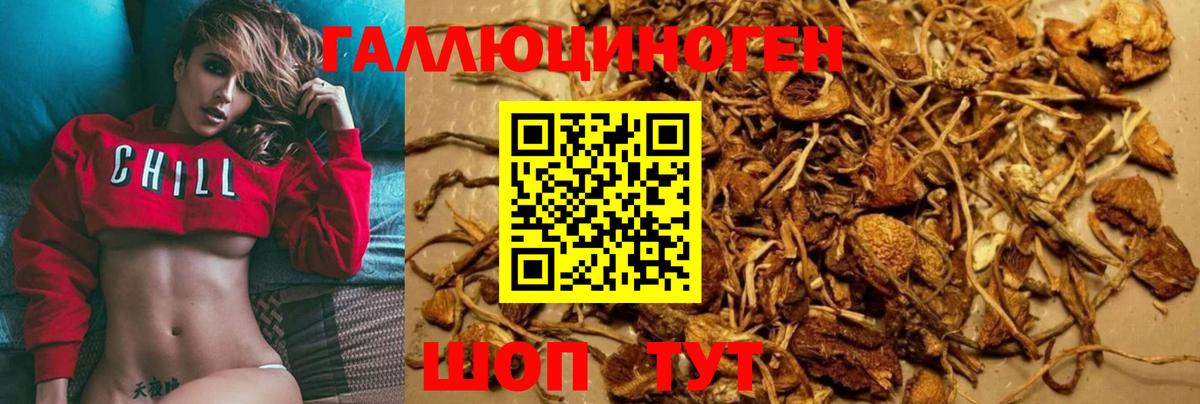 Арзамас  Галлюциногенные грибы Psilocybine cubensis  наркотики  Вход с VPN  Галлюциногенные грибы GOLDEN TEACHER 